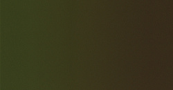 Chameleon