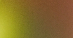 Chameleon