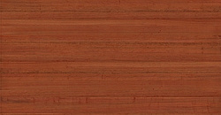 Под дерево