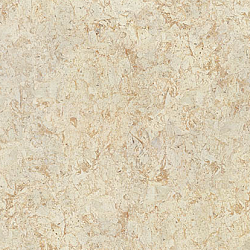 BA 0050