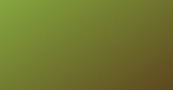 Chameleon