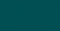 Your Color