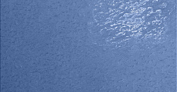 Monocolor