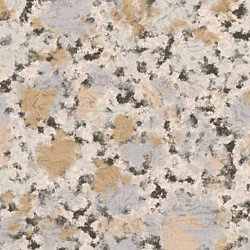 g26